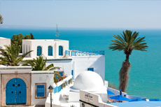 Tunis (La Goulette) Sidi Bou Said Walking Tour cruise excursion